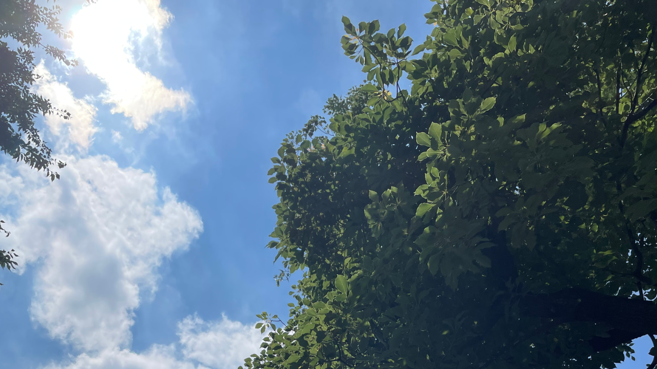 空を見上げて休息